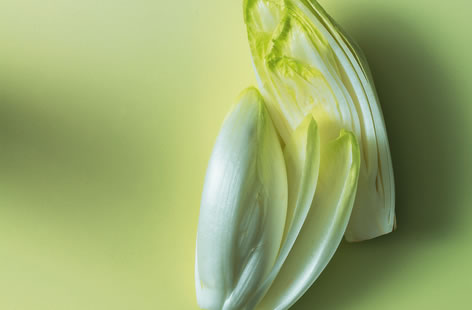 What to do with chicory main2